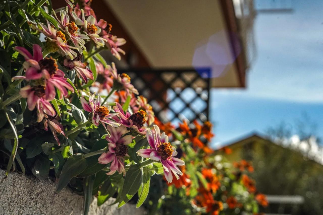 Agriturismo La Rocca San Bartolomeo Al Mare Εξωτερικό φωτογραφία